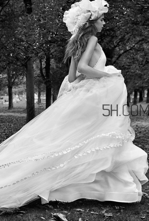 vera wang2018秋季婚紗系列怎么樣_好看嗎？