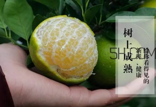 皇帝柑是橘子嗎？皇帝柑怎么保存