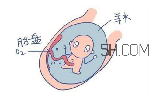 怎么防止羊水早破？羊水早破的危害