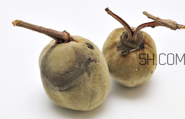 猴面包樹果實(shí)好吃嗎？猴面包樹果實(shí)怎么吃