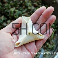 餃子和面用熱水還是冷水？餃子和面要醒多長時間？