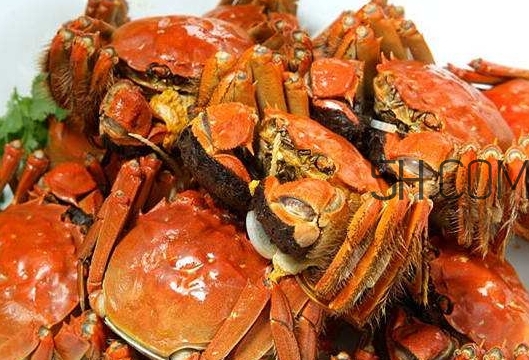 孕婦吃螃蟹多久流產(chǎn)？孕婦吃多少螃蟹會(huì)流產(chǎn)？