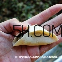 怎么包餃子快又好看？十種家常包餃子的方法~