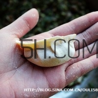 餃子和面用熱水還是冷水？餃子和面要醒多長時間？