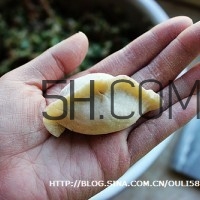 餃子和面用熱水還是冷水？餃子和面要醒多長時間？
