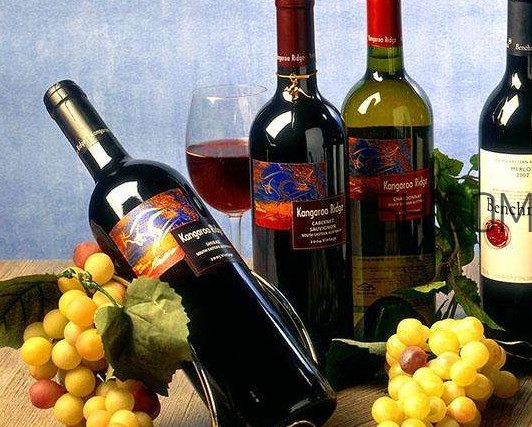 小孩能不能喝葡萄酒？高血糖能不能喝葡萄酒