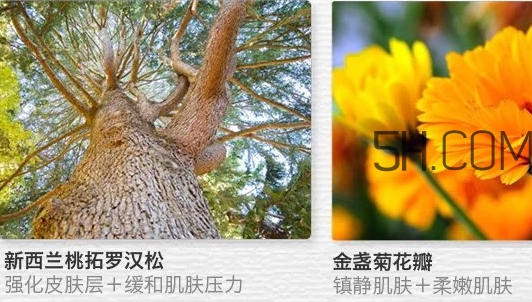 the saem得鮮眼霜適合什么年齡？得鮮眼霜怎么樣？