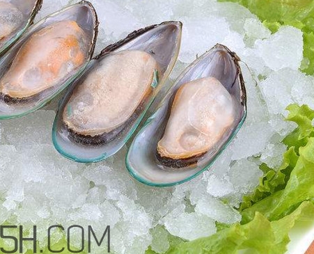 海蠣子是發(fā)物嗎？海蠣子什么人不能吃