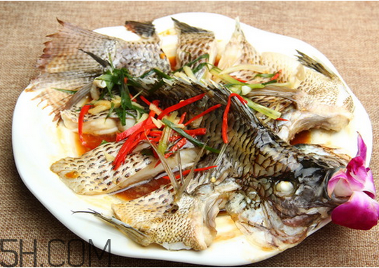 沒有魚刺的魚是哪種魚？如何挑選魚？