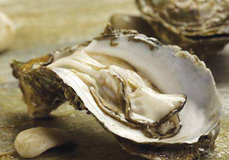 海蠣子是生蠔嗎？海蠣子和生蠔的區(qū)別
