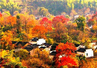 秋季滋補養(yǎng)生越補越好嗎？2017年秋天是幾月份？