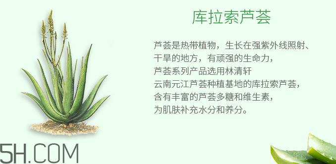 林清軒蘆薈面膜泥怎么樣？林清軒蘆薈面膜泥測評(píng)