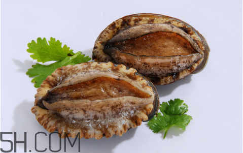 鮑魚吃了會上火嗎？鮑魚是發(fā)物嗎？