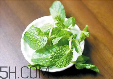感冒可以喝酒嗎？薄荷治療感冒的方法