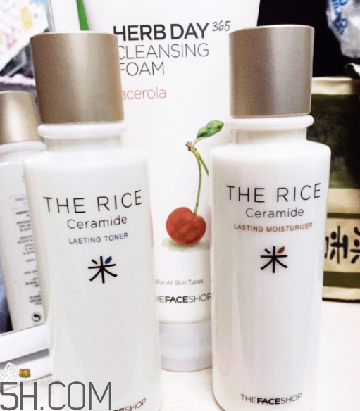菲詩小鋪水乳怎么樣？菲詩小鋪水乳哪個(gè)好用？