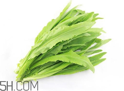 油麥菜是轉(zhuǎn)基因蔬菜嗎？油麥菜是發(fā)物嗎
