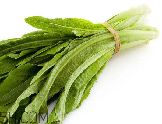 油麥菜怎么做好吃？油麥菜怎么種植