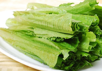 油麥菜不能和什么一起吃？油麥菜什么人不能吃