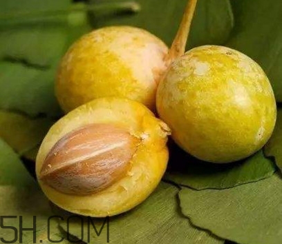 白果沒熟吃了會(huì)怎么樣？白果熟了是什么樣子的