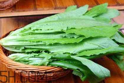油麥菜是轉(zhuǎn)基因蔬菜嗎？油麥菜是發(fā)物嗎