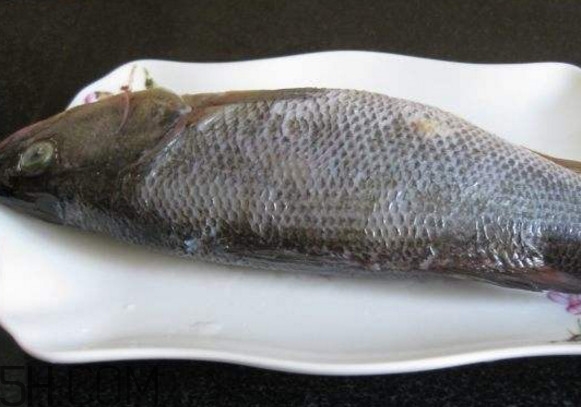 鮭魚是三文魚嗎？鮭魚的營養(yǎng)價(jià)值