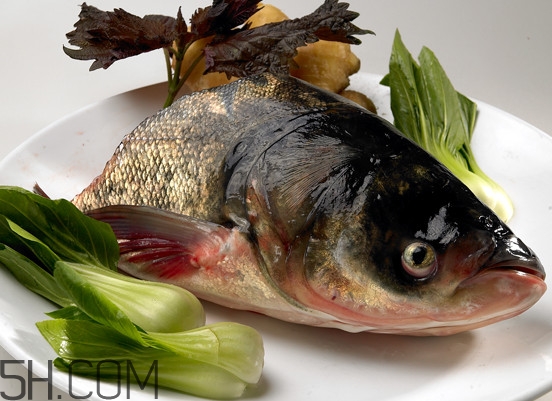 胖頭魚有什么營養(yǎng)？胖頭魚是鰱魚嗎