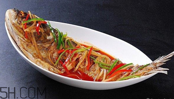 胖頭魚是什么魚？胖頭魚是發(fā)物嗎