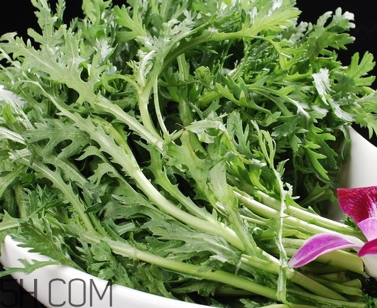 皇帝菜是什么樣子？皇帝菜又叫什么菜