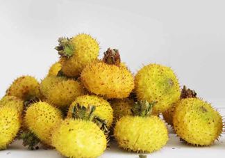 刺梨能降血壓嗎？刺梨是哪里的特產(chǎn)