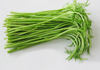 藜蒿多少錢一斤？藜蒿和蘆蒿是同一種菜嗎？