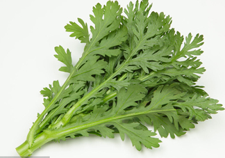 皇帝菜是什么樣子？皇帝菜又叫什么菜