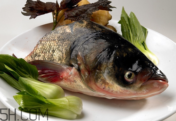 胖頭魚吃什么？胖頭魚怎么殺