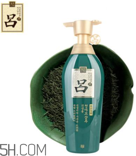 綠呂洗發(fā)水怎么樣？綠呂洗發(fā)水適合人群