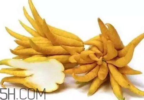 佛手柑是佛手瓜嗎？佛手柑和佛手瓜的區(qū)別