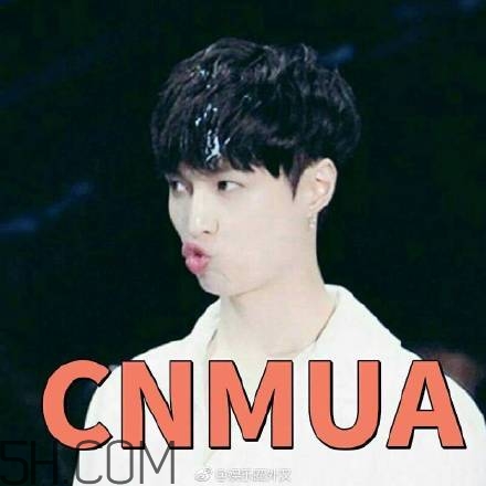 cnmua是什么意思？cnmua無(wú)水印表情包