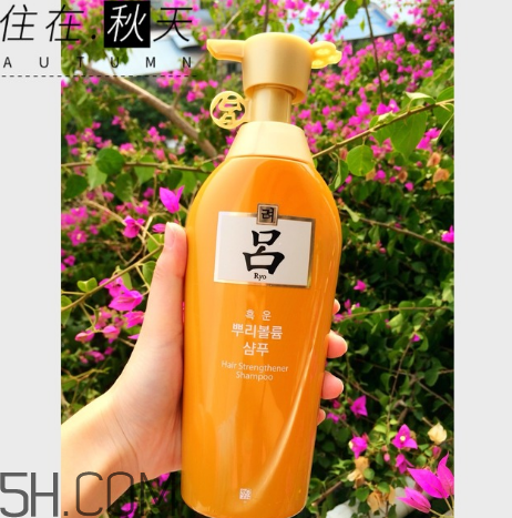 黃呂洗發(fā)水怎么樣？黃呂洗發(fā)水適合人群
