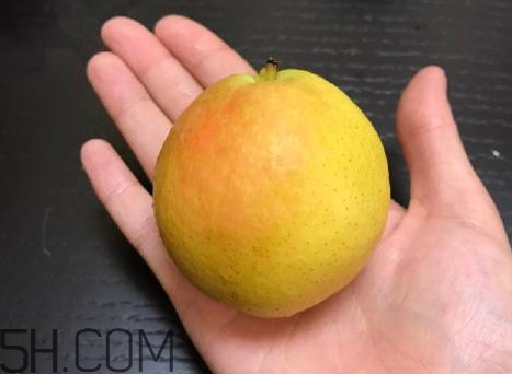南果梨是寒性水果嗎？南果梨是涼性還是熱性