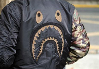 undefeated與bape2017秋冬系列聯(lián)名怎么樣_好看嗎？