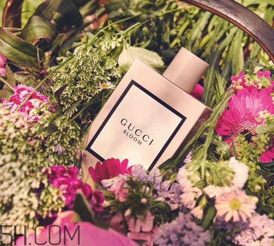 gucci bloom香水好聞嗎？gucci bloom香水香評(píng)