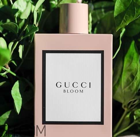 gucci bloom香水多少錢？gucci bloom香水專柜價格