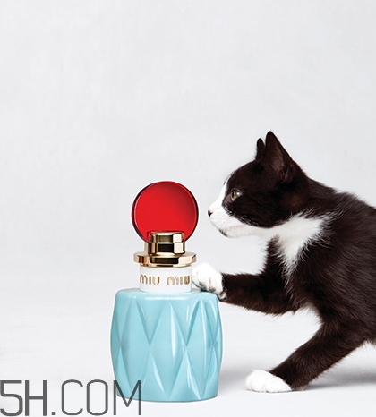 miumiu香水什么檔次？miumiu繆繆香水是哪國的