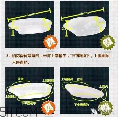 五常大米怎么辨別真假？五常大米和普通米的區(qū)別