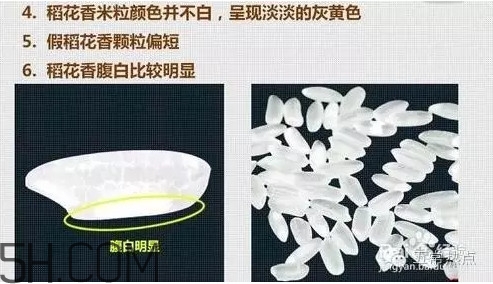 五常大米怎么辨別真假？五常大米和普通米的區(qū)別