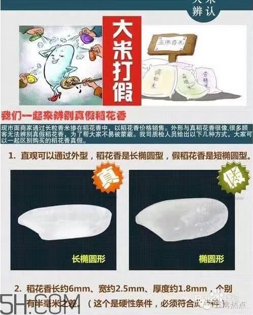 五常大米怎么辨別真假？五常大米和普通米的區(qū)別