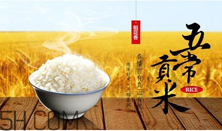 五常大米什么時(shí)候種植？五常大米是什么品種