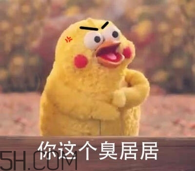 你個(gè)臭居居什么意思？你個(gè)臭居居表情包
