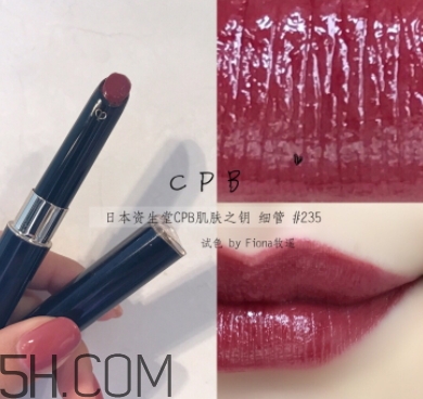 豬肝色口紅哪個牌子好？豬肝色口紅推薦