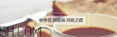 冬天適合什么香水？適合冬天的小眾香型香水推薦