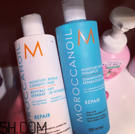 moroccanoil摩洛哥油洗發(fā)水怎么樣？摩洛哥油洗發(fā)水適合發(fā)質(zhì)