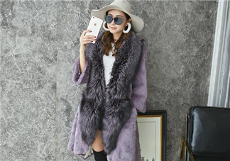 獺兔毛皮草一般多少錢？獺兔毛皮草可以穿幾年？